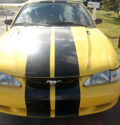 My mustang.Bumble Bee