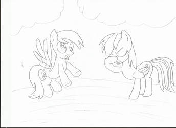 Derpy Hooves and RainbowDash