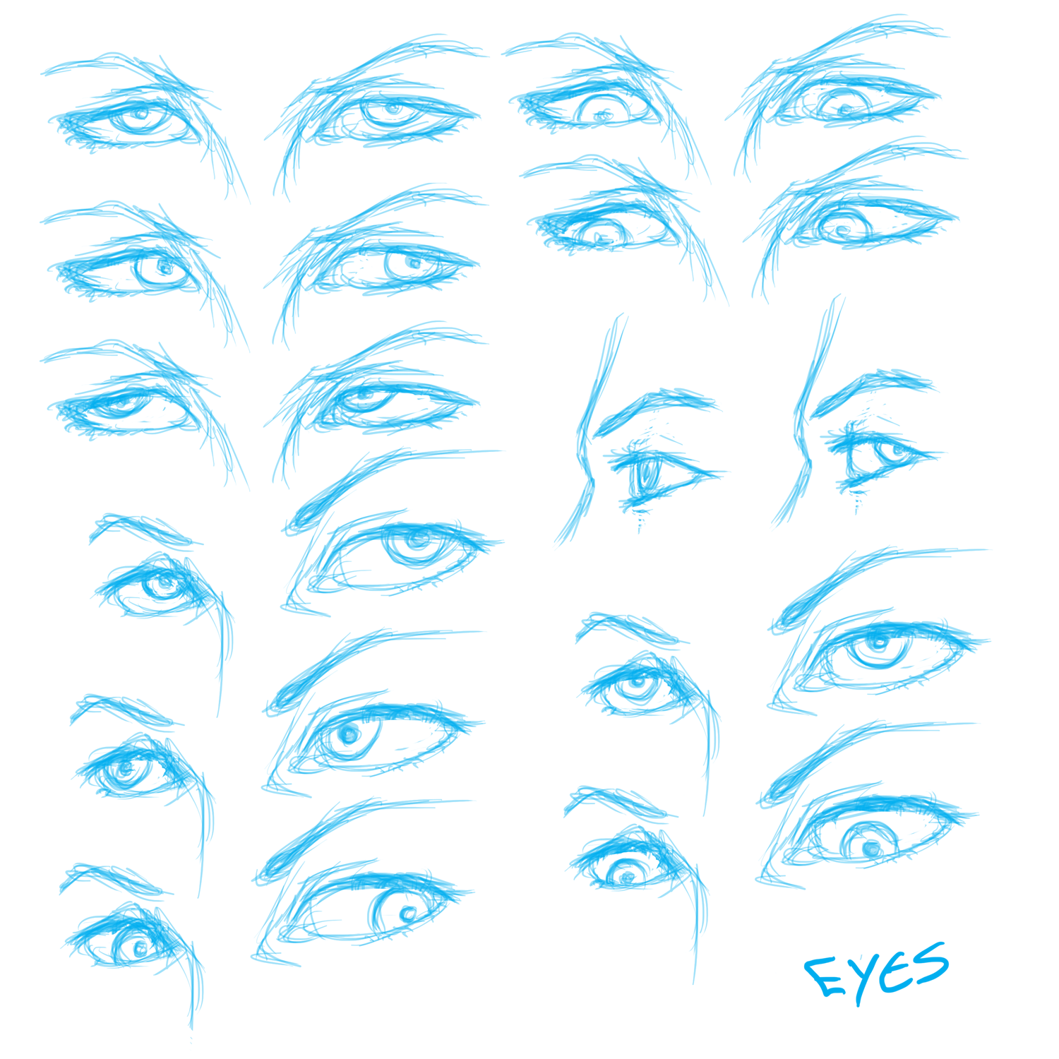 Eye Reference