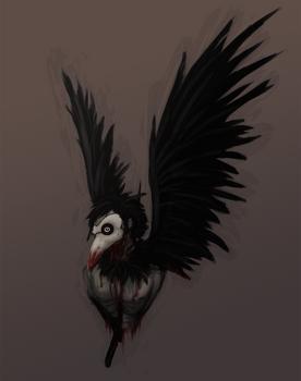 Corvus