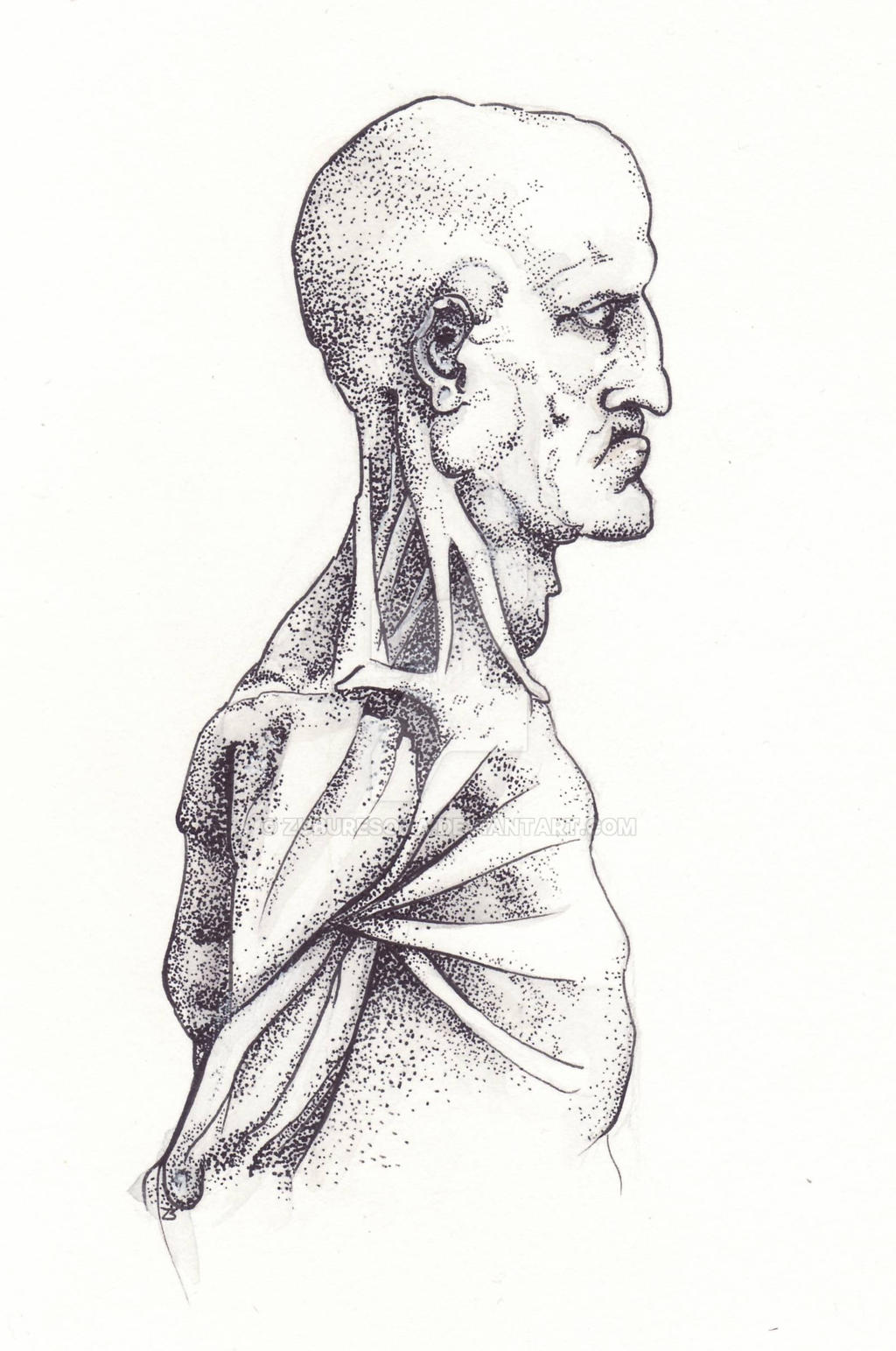 The Anatomy of the 'Unhinged' Profile