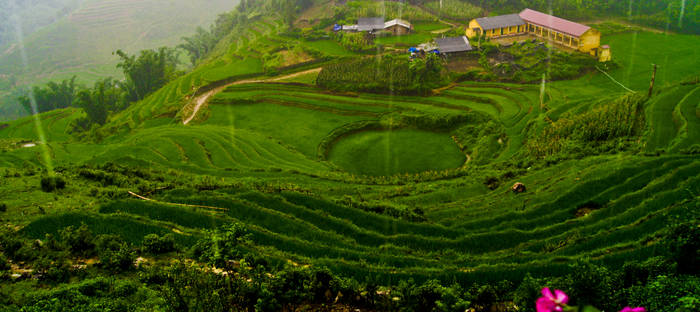 Sapa Rain