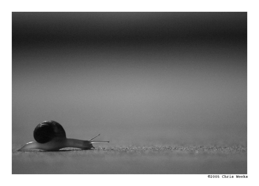 almost there... by cweeks