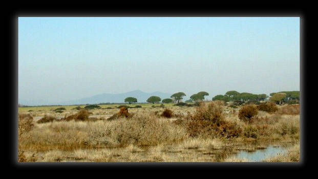 Parco della Maremma