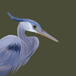 Another heron