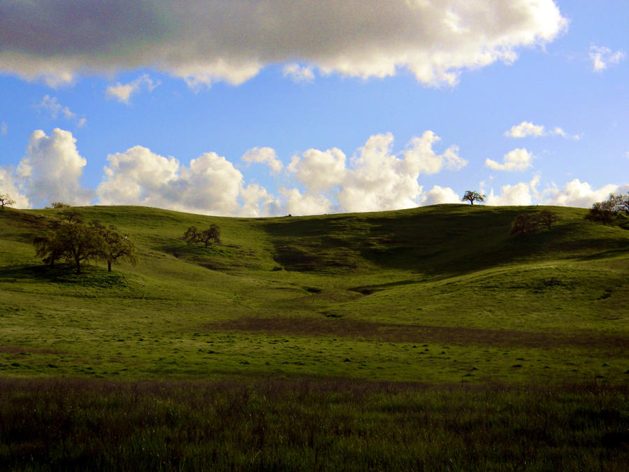 Rolling Hills