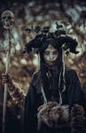 Dark Forest by elenasamko
