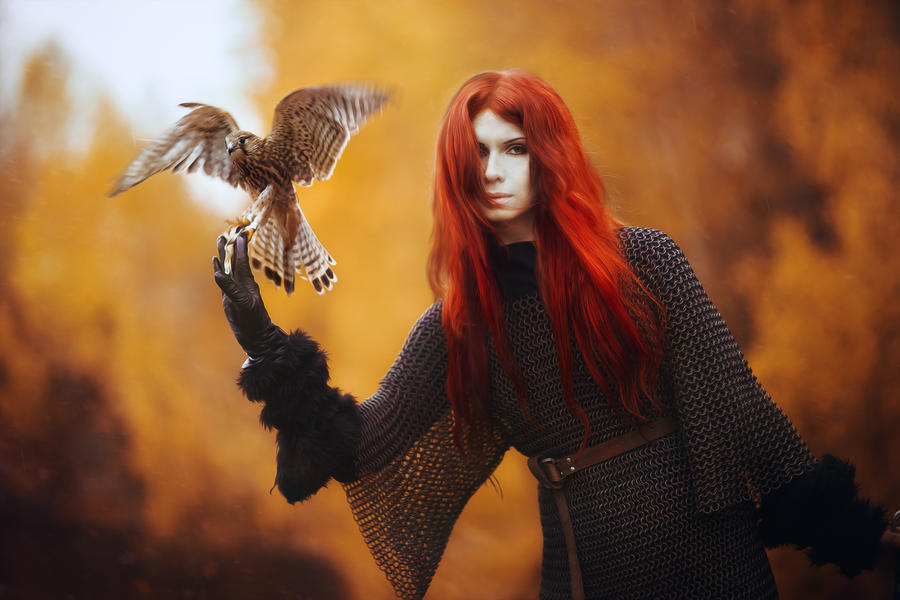 Lady and the falcon by elenasamko