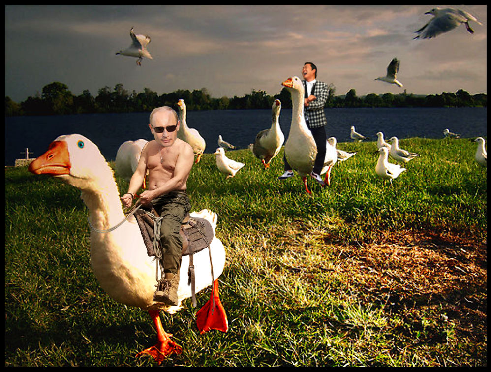 Putin Riding Goose Duck Duck Goose Putin by AriadneMaze on DeviantArt