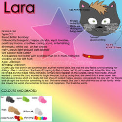 Lara Ref Sheet