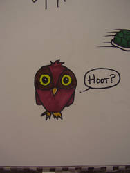 Hoot?