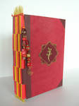 Salamander's Book of ... by wee-beastie