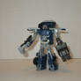 Transformers Customs 041 - Wildbreak