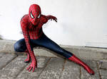 The Amazing spiderman