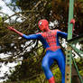 The Amazing spiderman