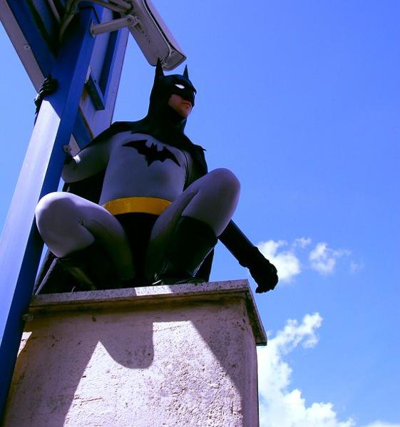 Batman animated seried cosplay