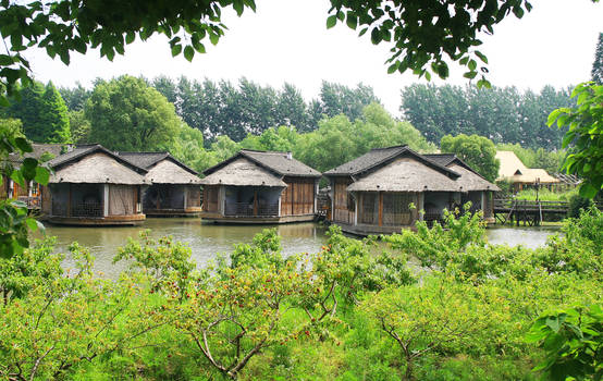 Wuzhen Scene 20