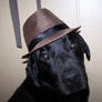 hatdog