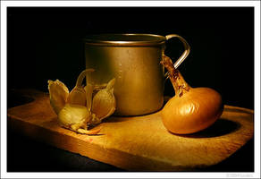 Still Life with onion