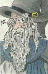 Gandalf the Grey