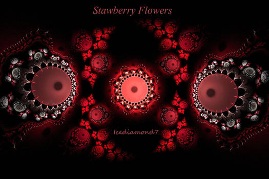 Stawberry Flowers