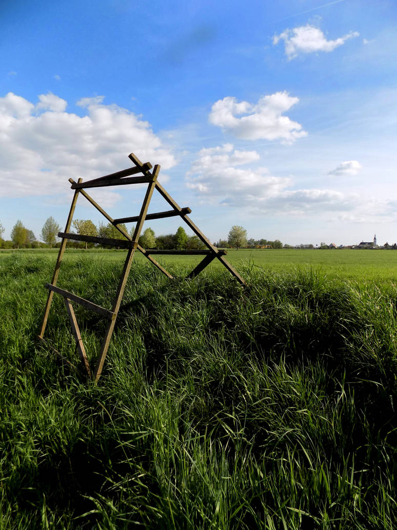 field trap xD by yummiCho on DeviantArt