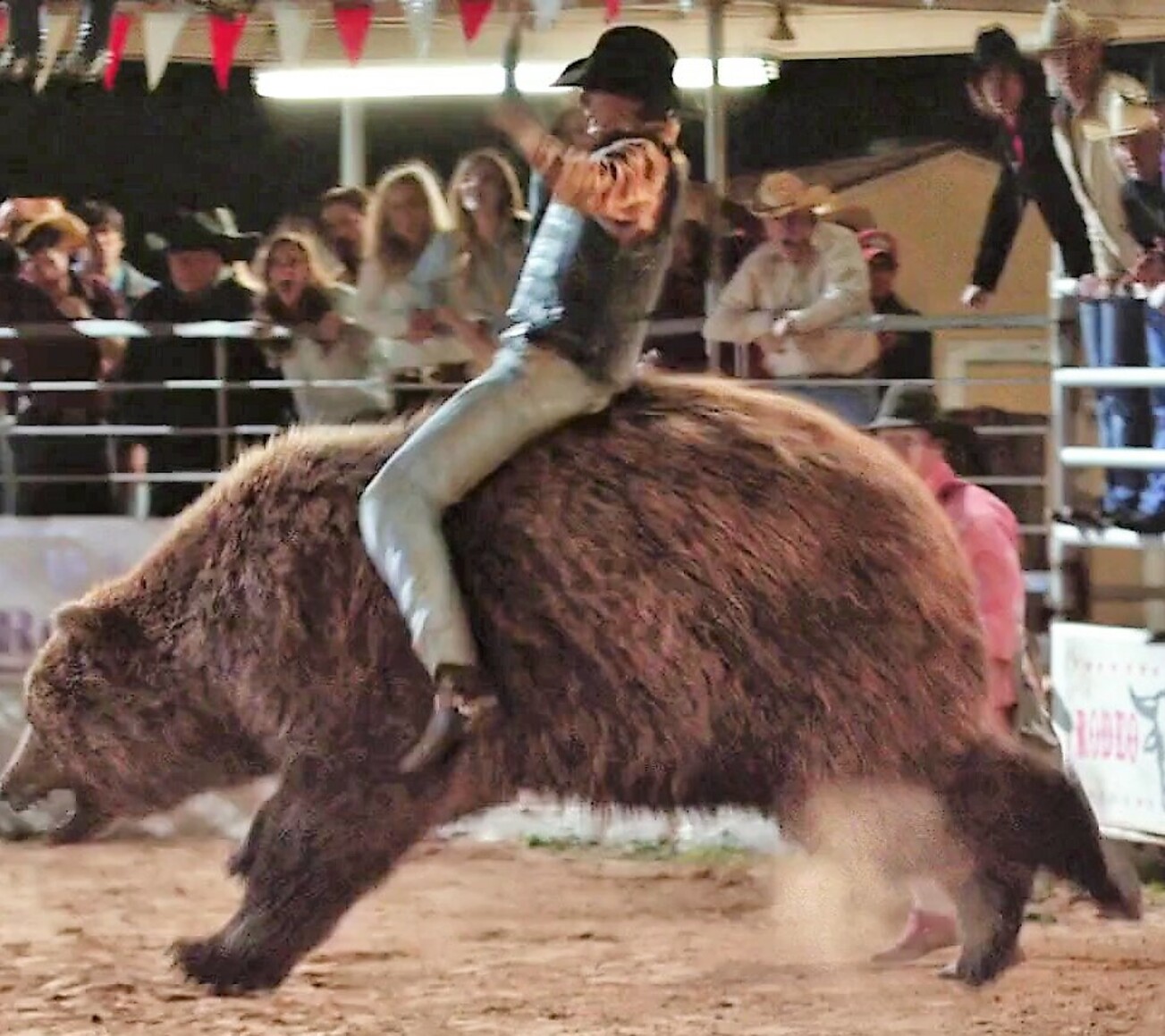 Bear Rodeo Bear Rodeo 2 by Kirito210 on DeviantArt