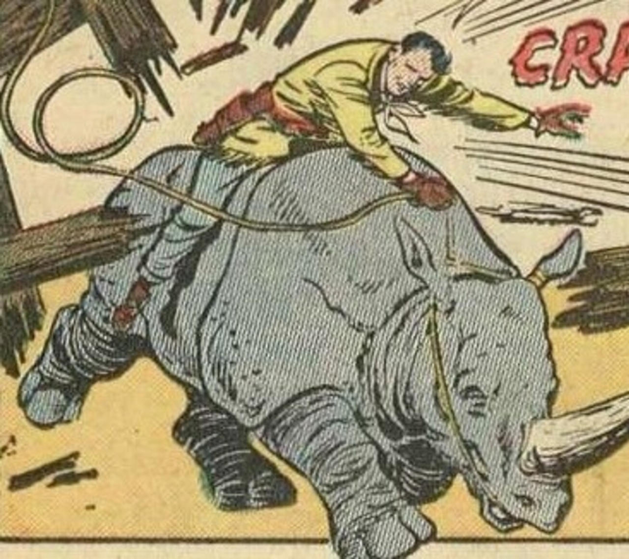 Riding Rhino by Kirito210 on DeviantArt