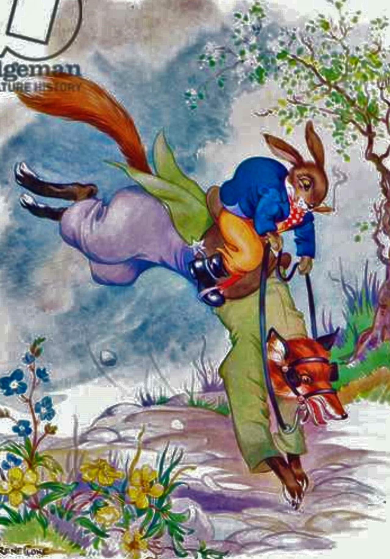 Brer rabbit riding fox by Kirito210 on DeviantArt