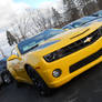 New Bumblebee