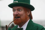 Leprechaun by swampfoxinsc