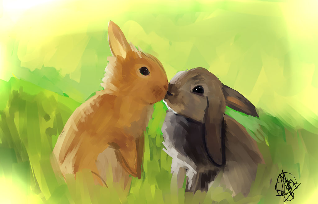 Rabbits by seckra on DeviantArt