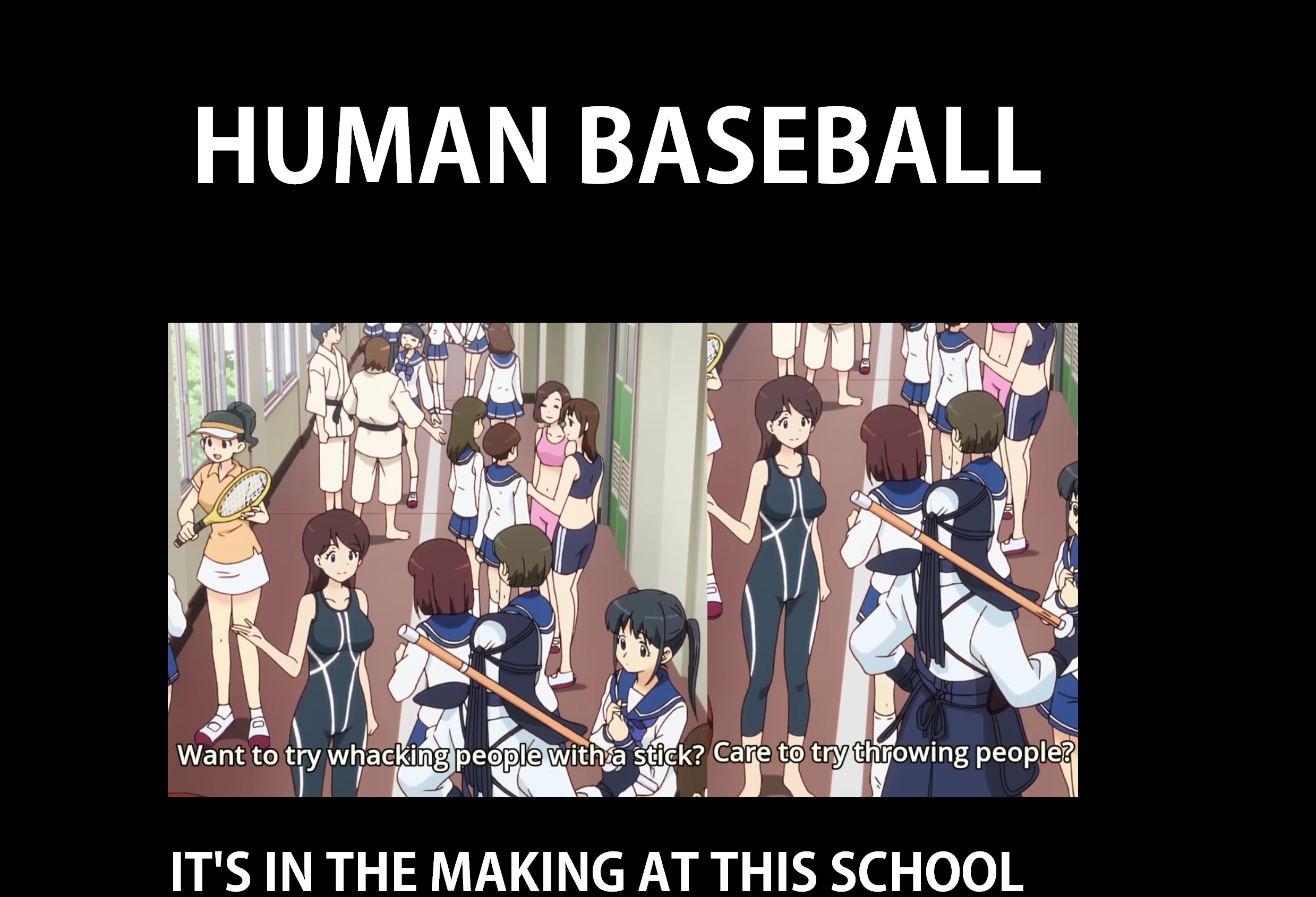 Human Baseball