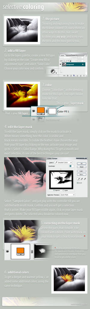 selective coloring by detail24