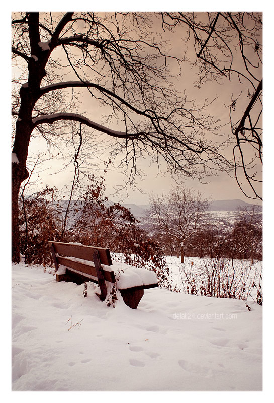 winter neighbourhood