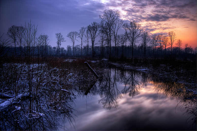 Moonlight meadow