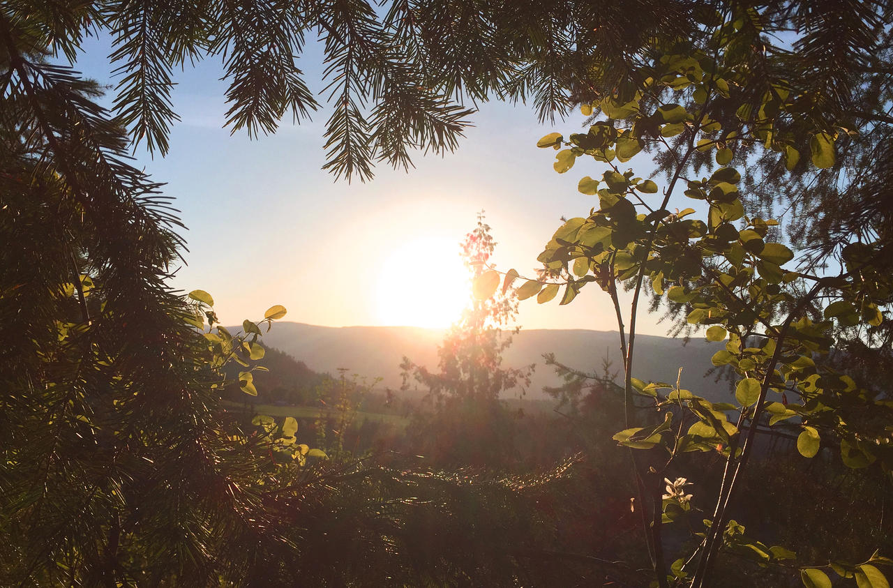 Pullulation by jdstephens2 on DeviantArt