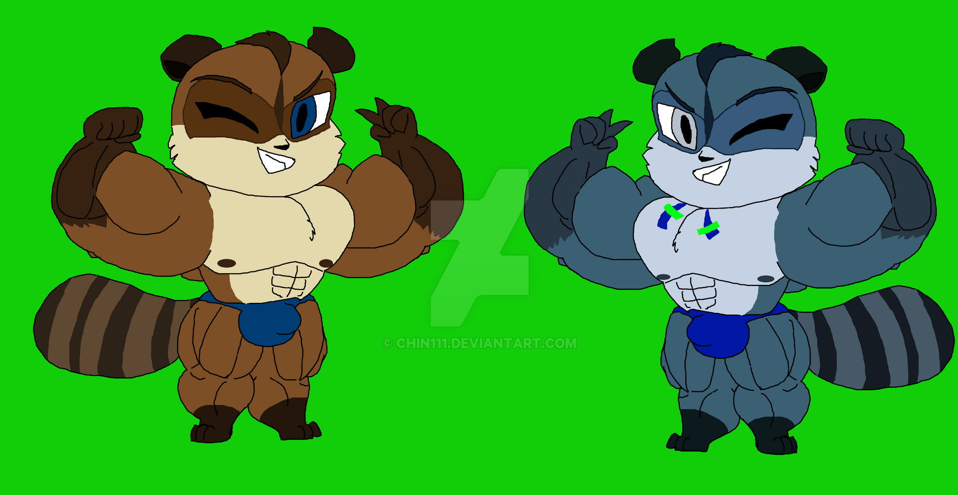2 Bulky Raccoons by chin111 on DeviantArt