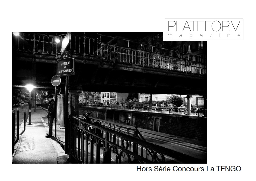 PLATEFORM HORS SERIE LA TENGO