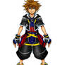 Kingdom Hearts 2 Neutral Form