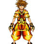 Kingdom Hearts 2 Seraphim Form