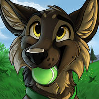 Stomak puppy icon