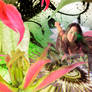 Colourfull
