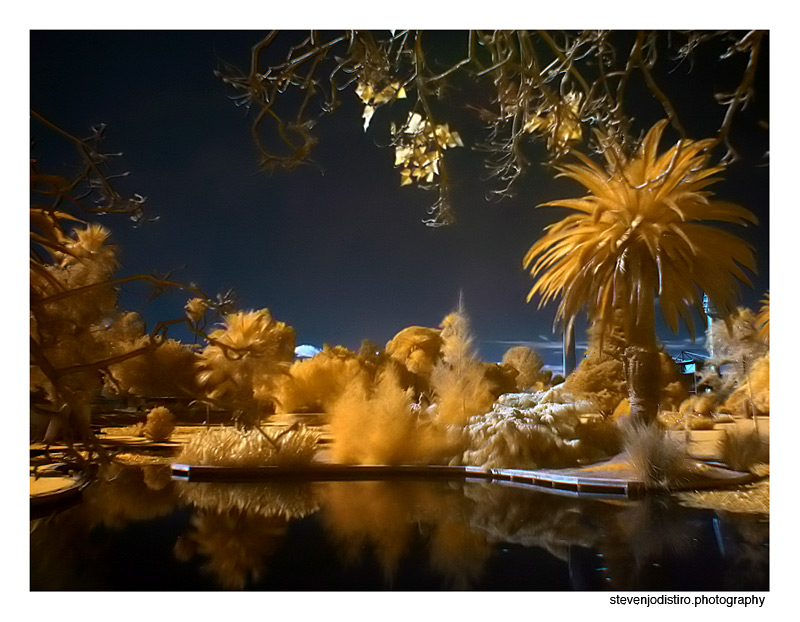 Infra Red - Queens Park