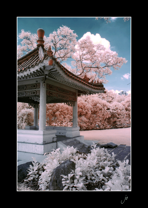 Chinese Garden _3