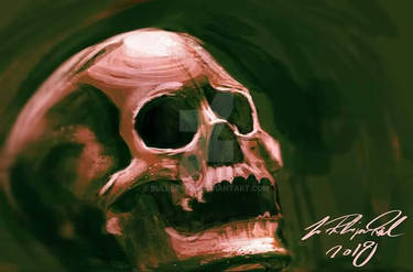 skull stdy sketch