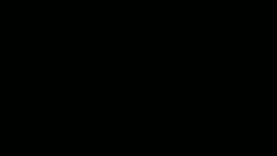 The Complete Lunar Cycle