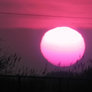 Fly Me to the Sun