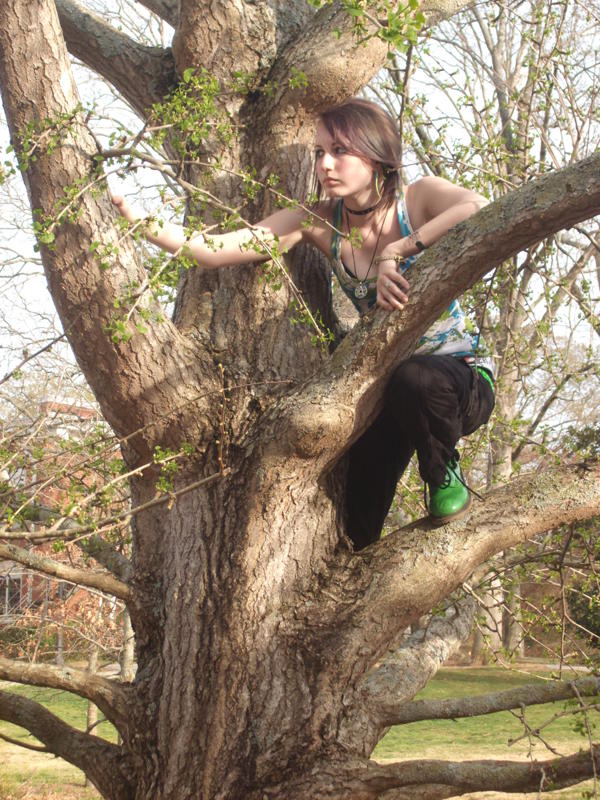 Tree Climber 2