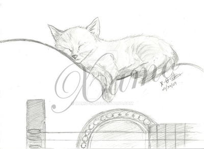 Gatito durmiendo en guitarra (2009)